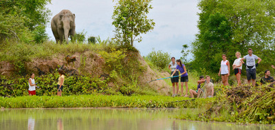 Elephant Refuge
