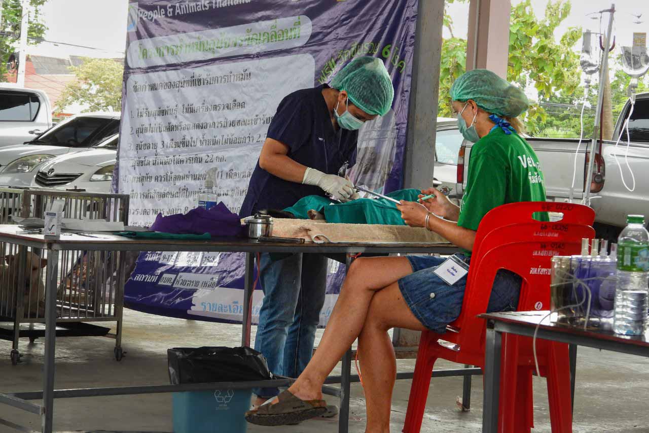 People and Animals Thailand