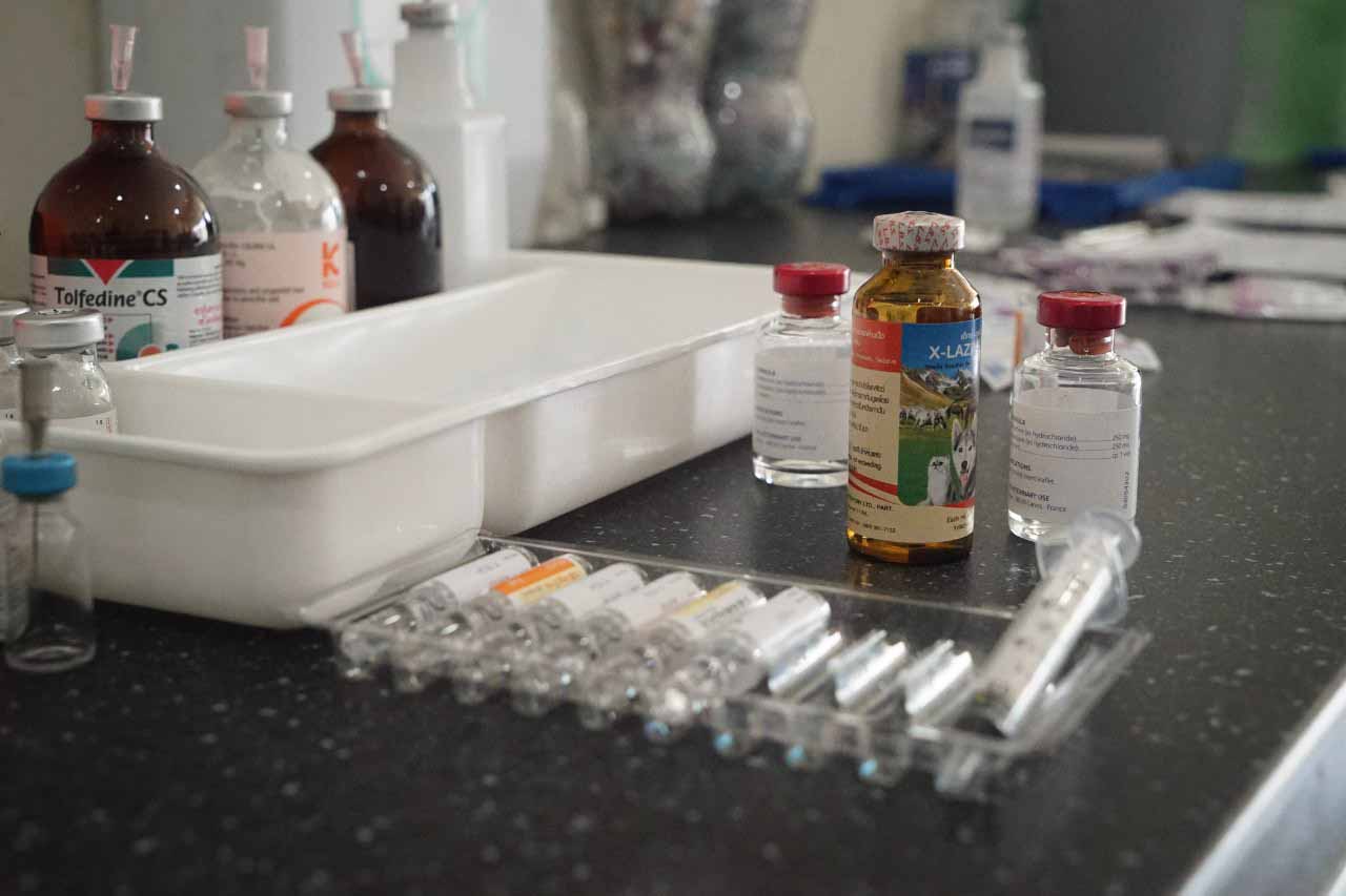 People and Animals Thailand