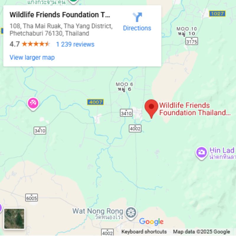 WFFT Map