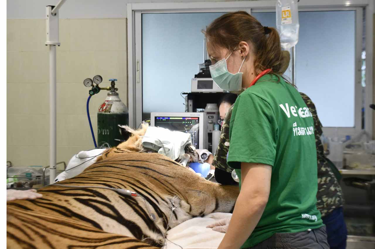Wildlife Hospital