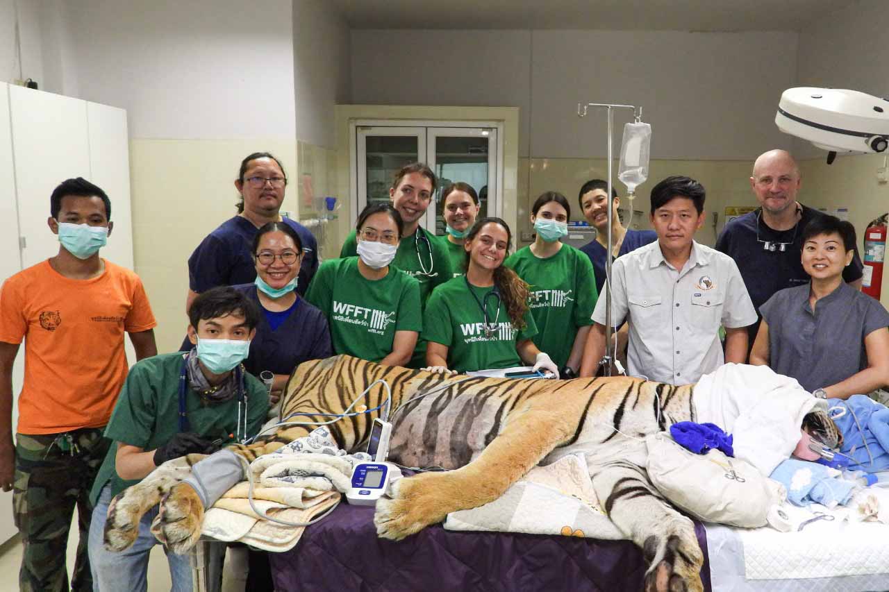 Wildlife Hospital
