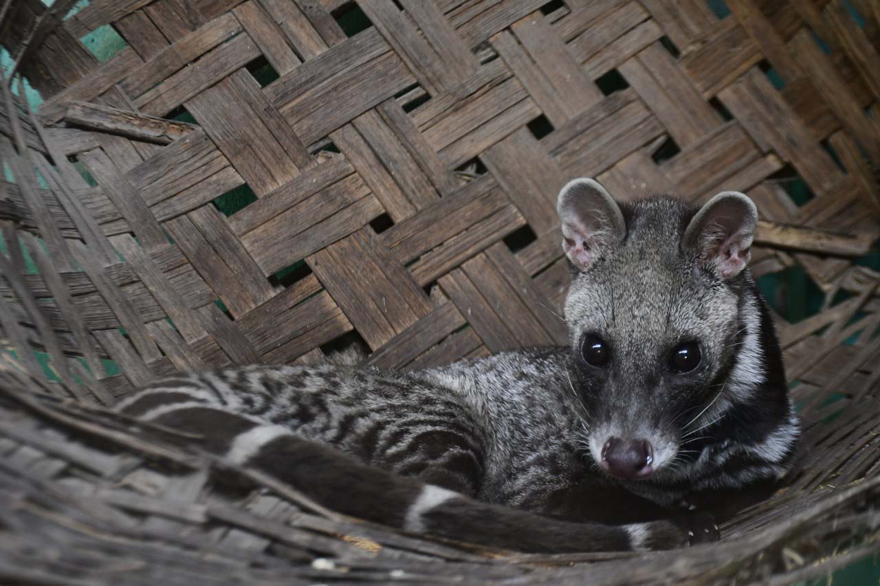 Wildlife Rescue Centre