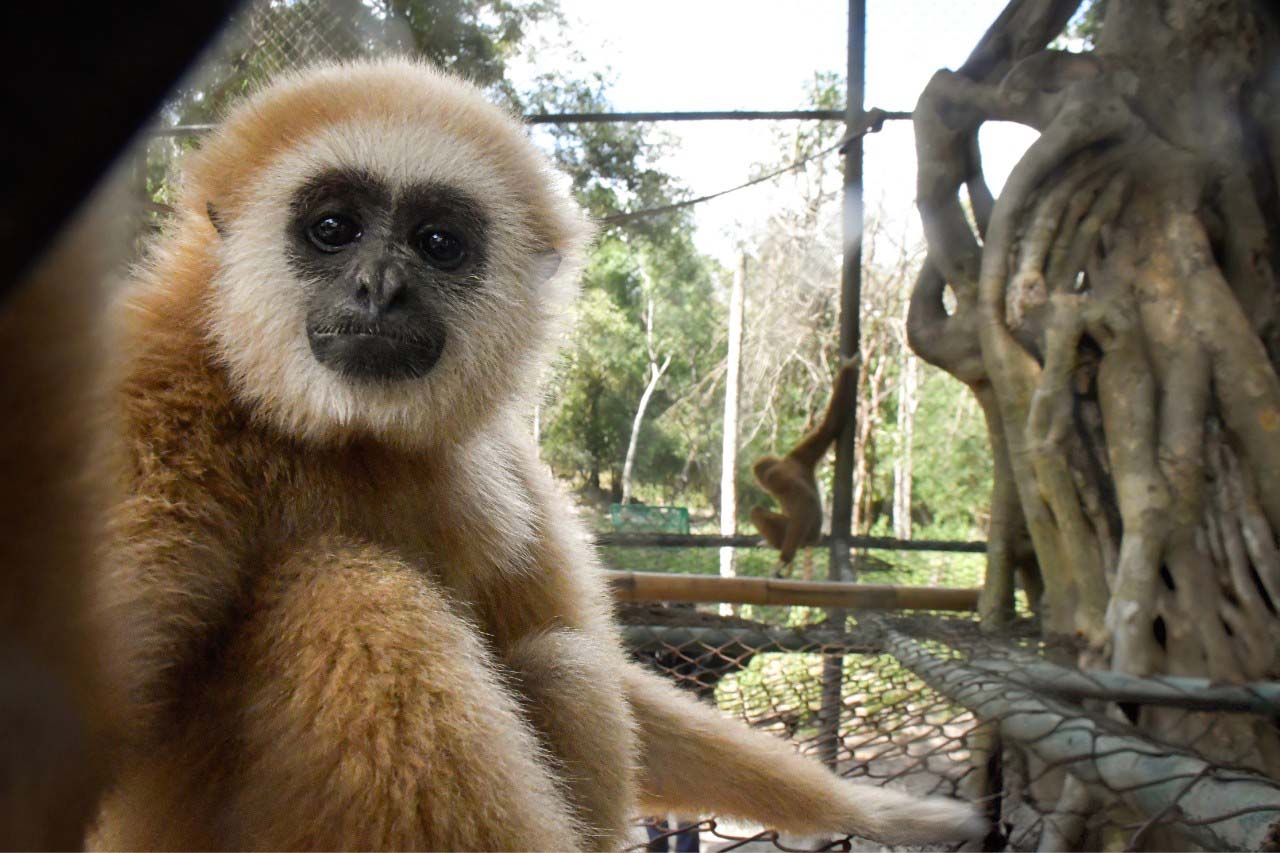 Wildlife Rescue Centre