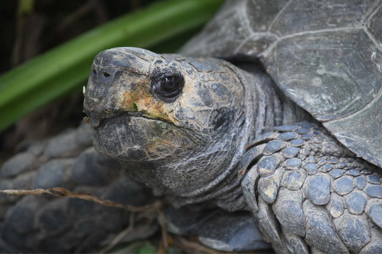 Wildlife Rescue Centre