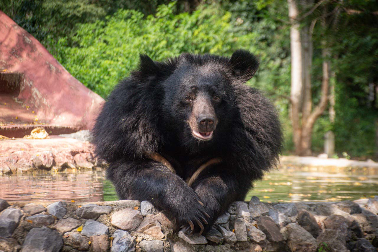 Wildlife Rescue Centre