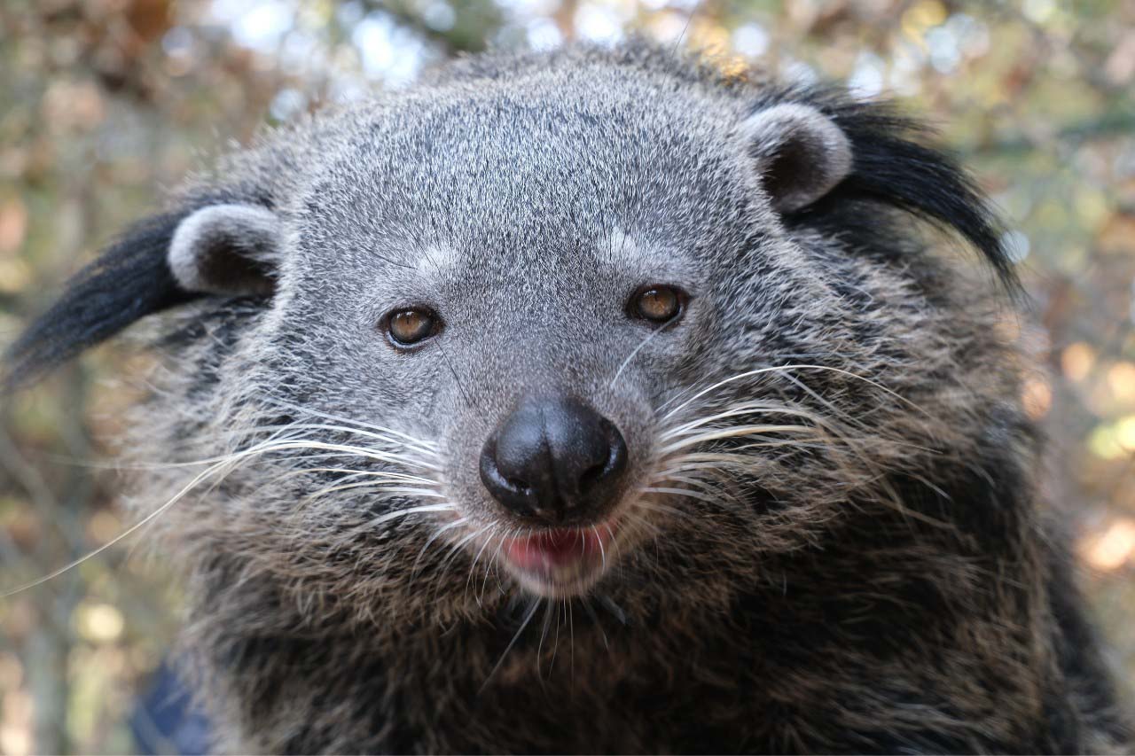 Wildlife Rescue Centre