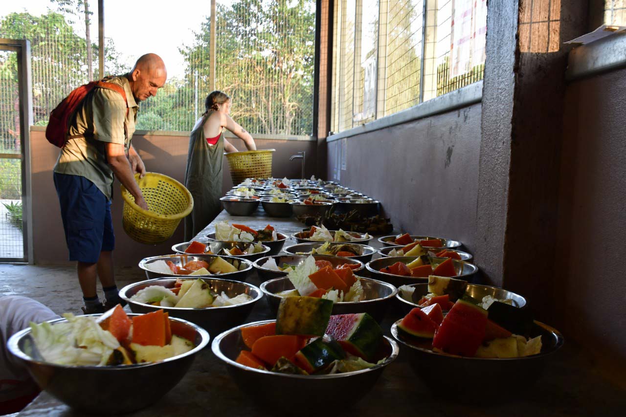 Wildlife Rescue Centre