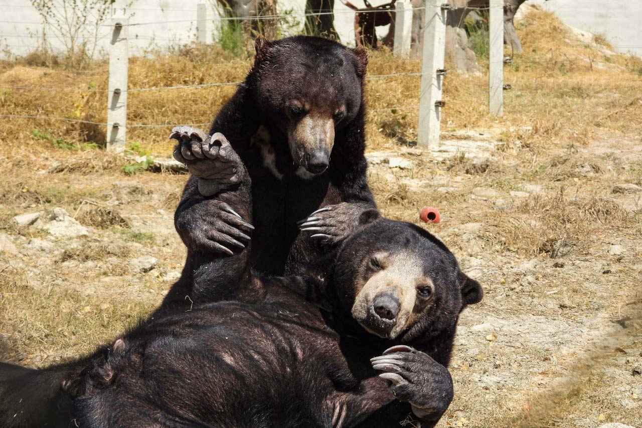 Wildlife Rescue Centre