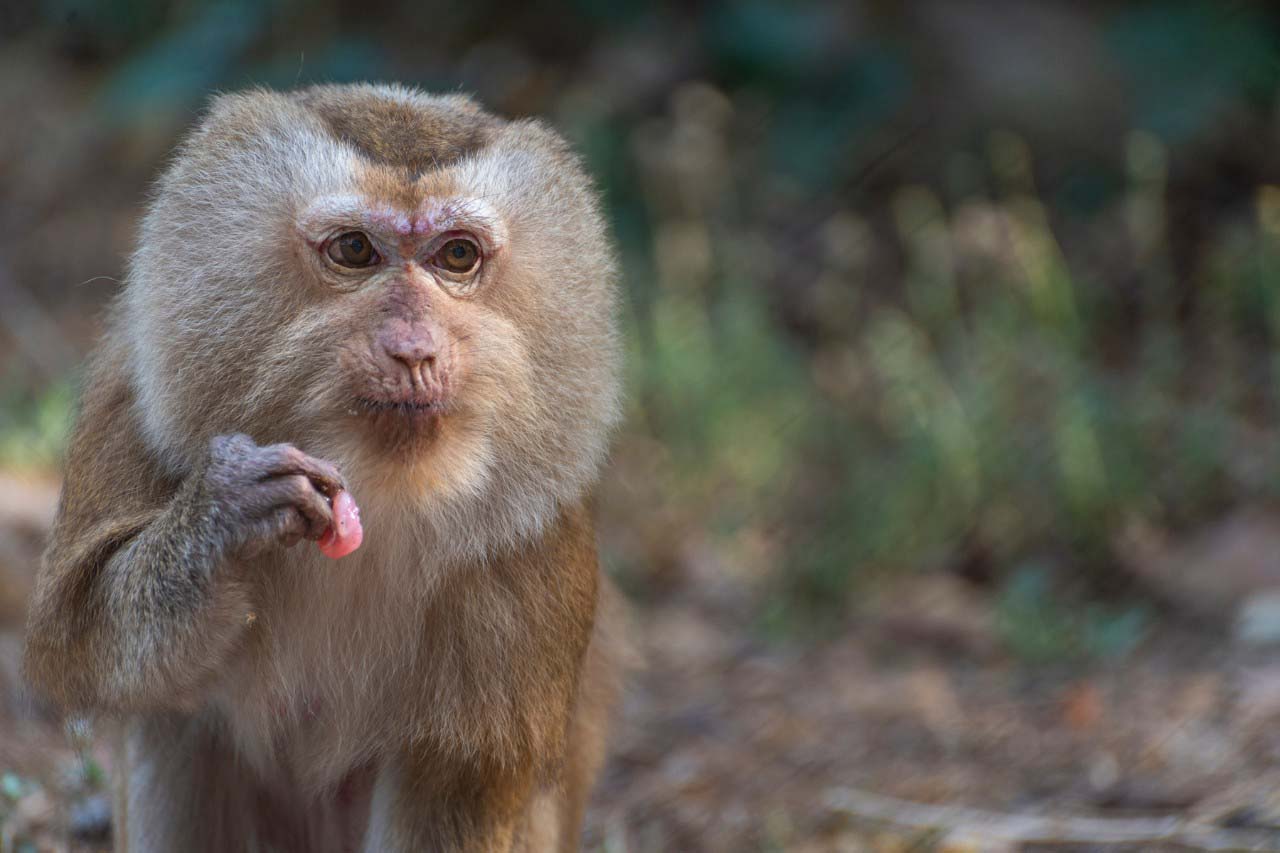 Wildlife Rescue Centre