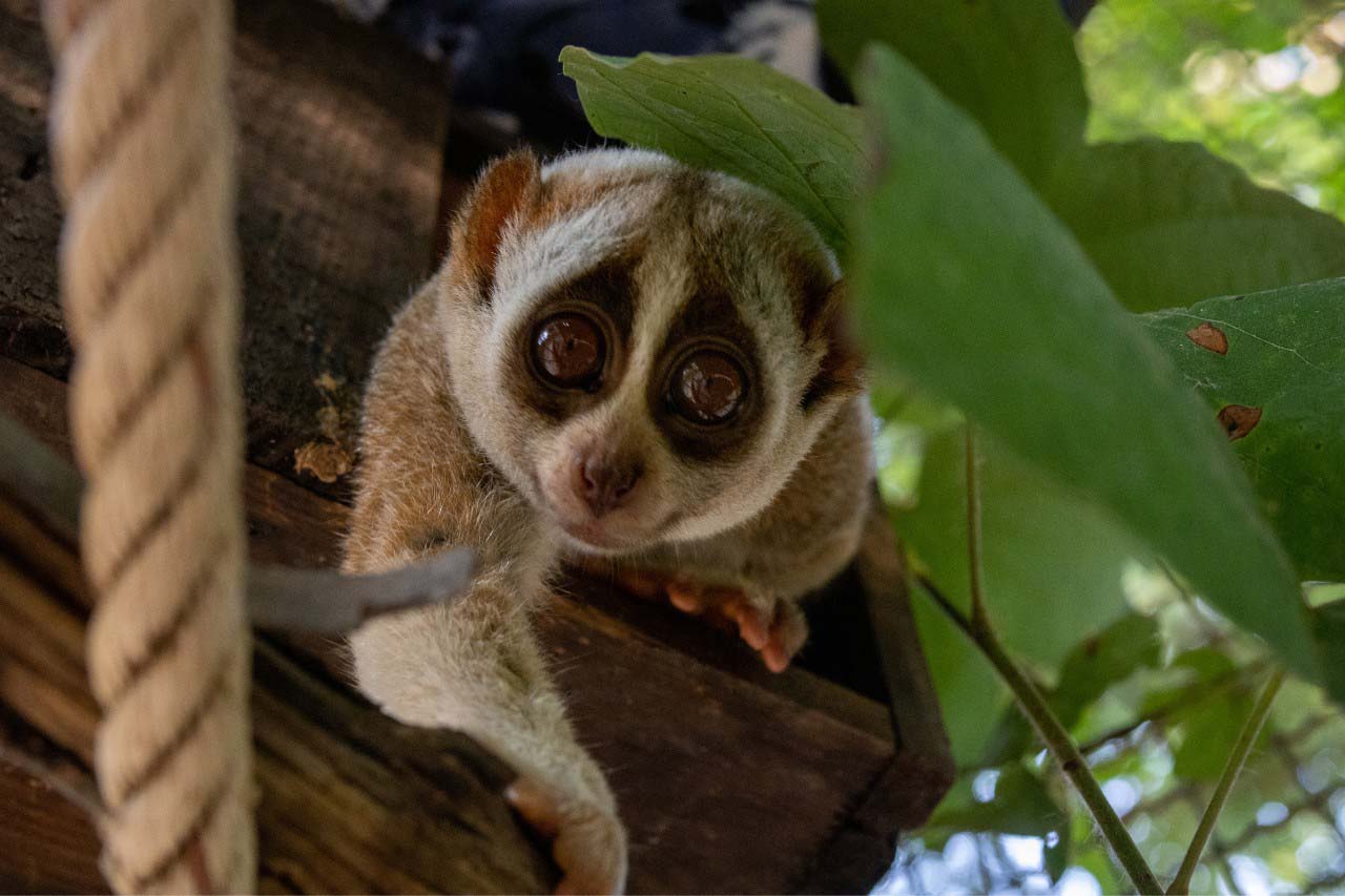 Wildlife Rescue Centre