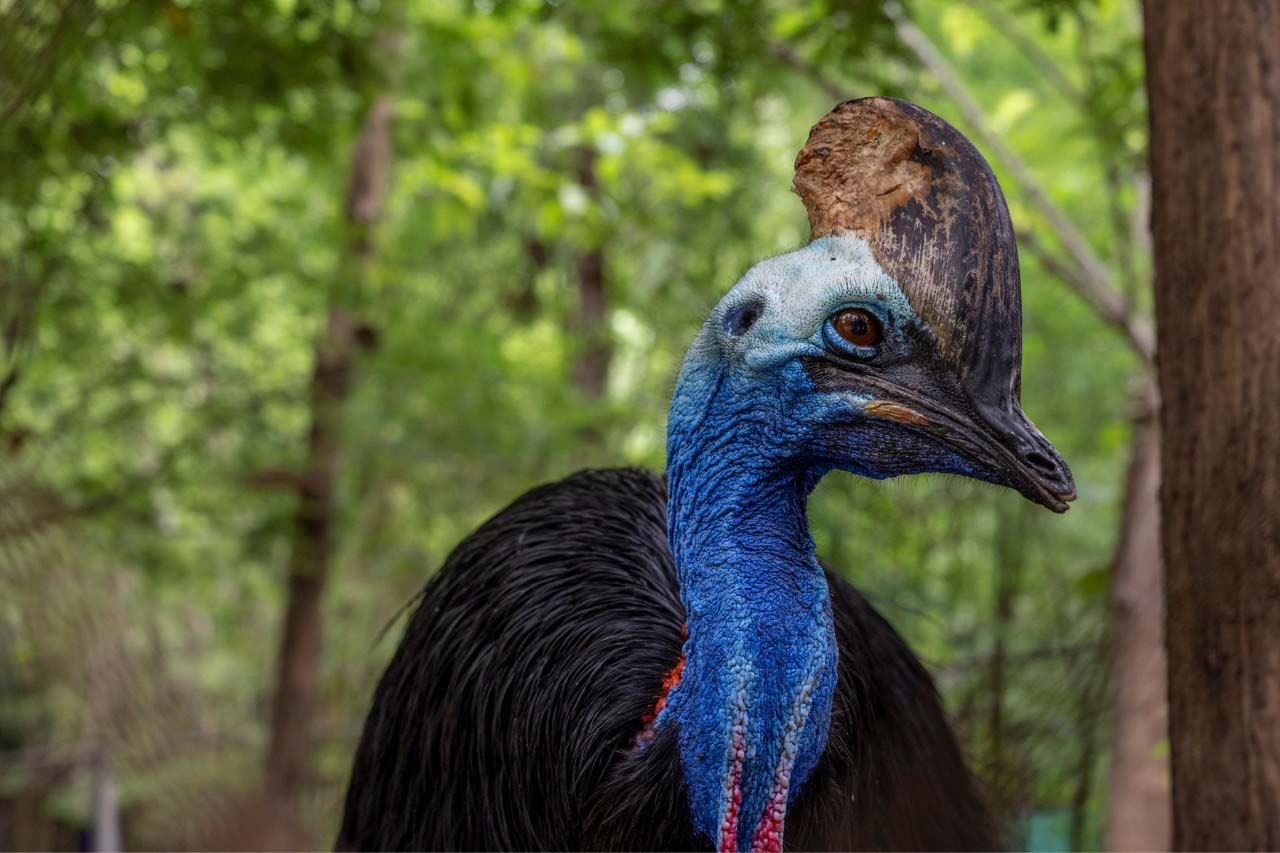 Wildlife Rescue Centre