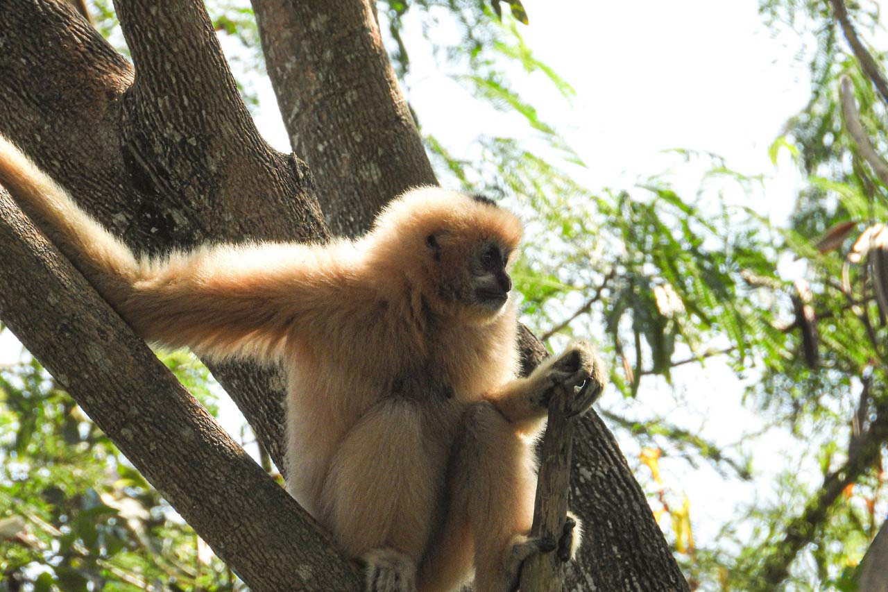 Wildlife Rescue Centre