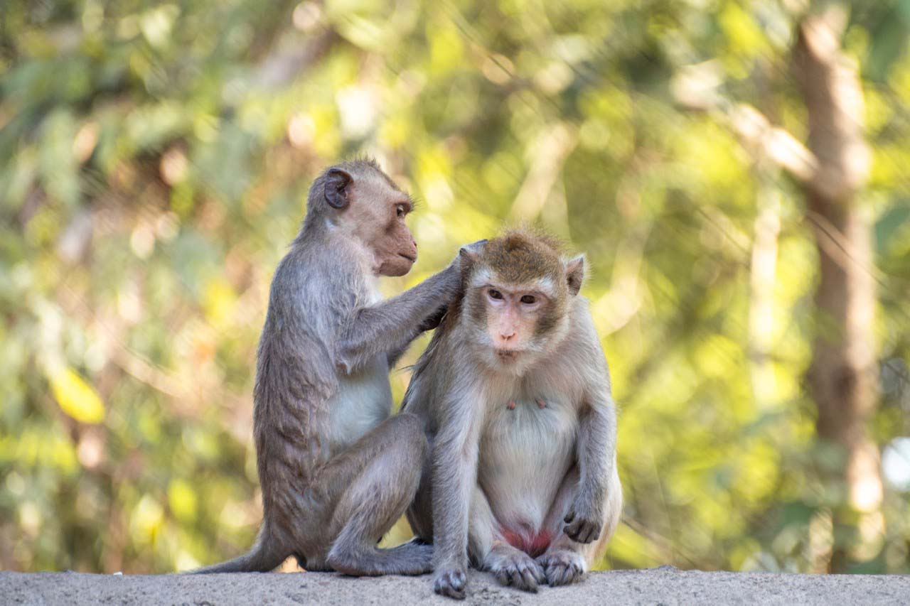 Wildlife Rescue Centre